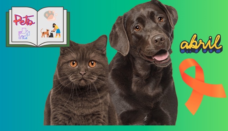 Dois projetos aprovados na Câmara visam a proteção e o bem-estar animal