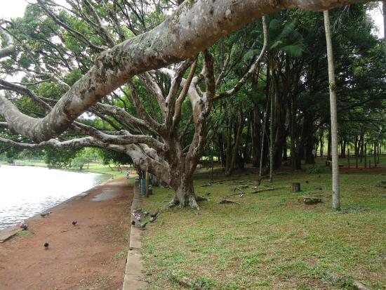 Vereador tem projeto aprovado que cria o Festival Natureza em Avaré