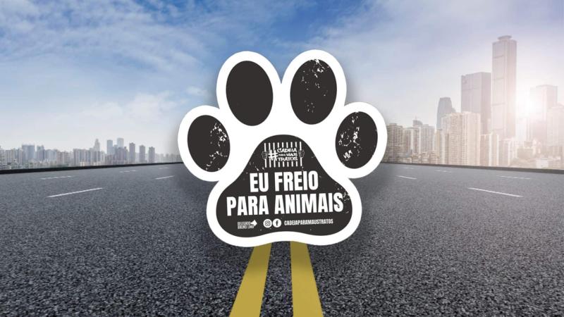 Câmara aprova instituição em Avaré da campanha “Eu freio para os Animais”